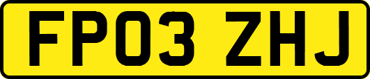 FP03ZHJ