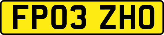 FP03ZHO