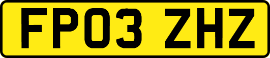 FP03ZHZ