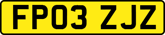 FP03ZJZ