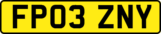 FP03ZNY