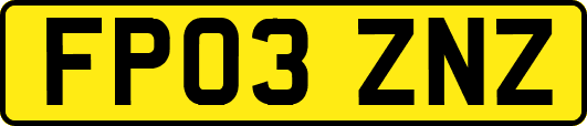 FP03ZNZ