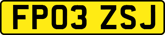 FP03ZSJ