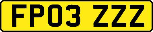 FP03ZZZ
