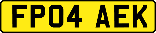 FP04AEK