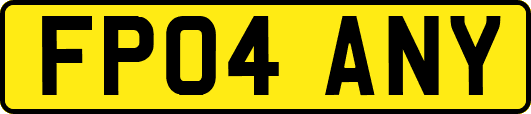 FP04ANY