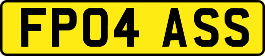 FP04ASS