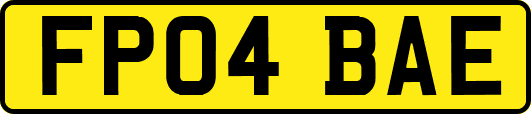 FP04BAE