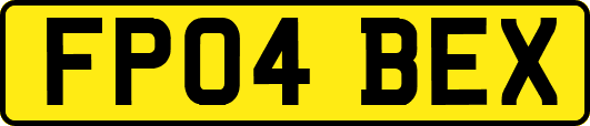FP04BEX