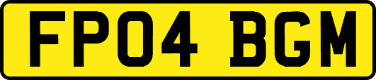 FP04BGM
