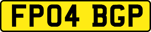 FP04BGP
