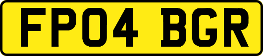 FP04BGR