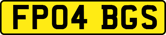 FP04BGS