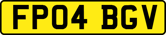 FP04BGV