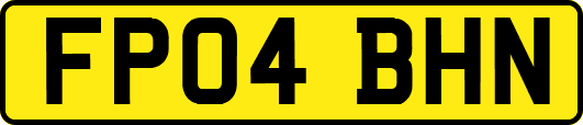 FP04BHN