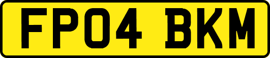 FP04BKM