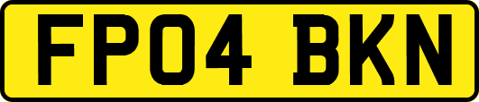 FP04BKN