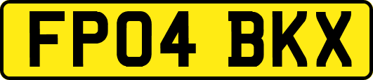 FP04BKX
