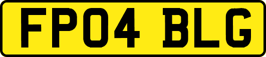 FP04BLG