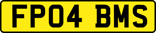 FP04BMS