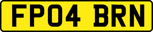 FP04BRN