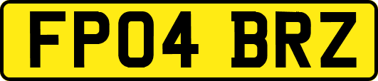 FP04BRZ