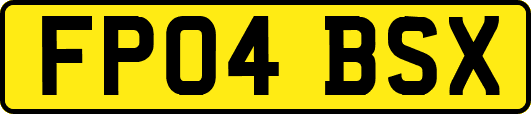 FP04BSX
