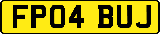 FP04BUJ