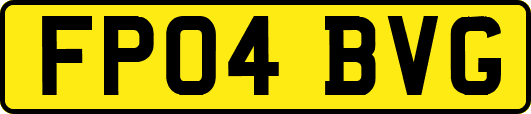 FP04BVG