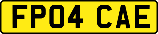 FP04CAE