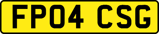 FP04CSG