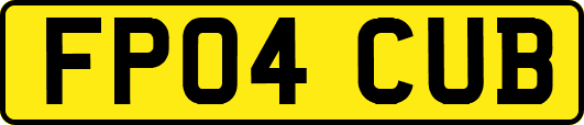 FP04CUB