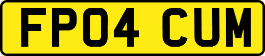 FP04CUM