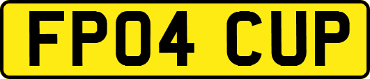 FP04CUP