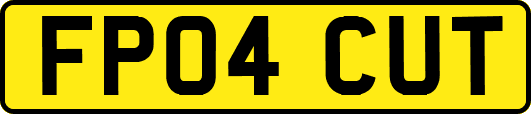 FP04CUT