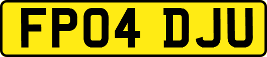 FP04DJU
