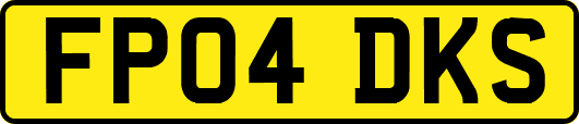 FP04DKS