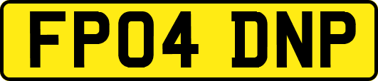 FP04DNP