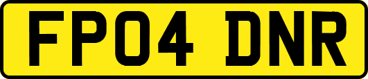 FP04DNR