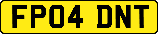 FP04DNT