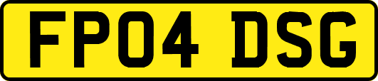 FP04DSG