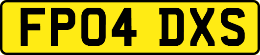 FP04DXS