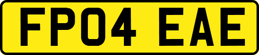 FP04EAE