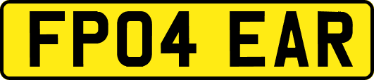 FP04EAR