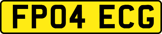 FP04ECG