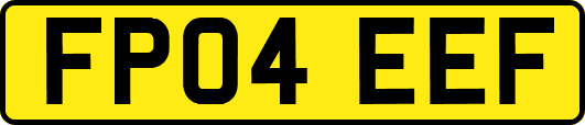 FP04EEF