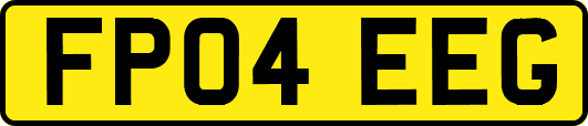 FP04EEG