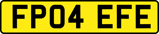 FP04EFE