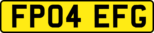 FP04EFG