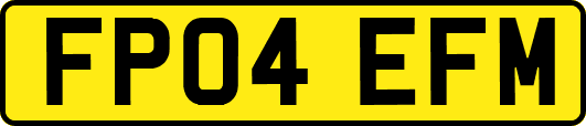 FP04EFM
